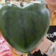 Illustration for article titled Japanese Find Out How to Make Heart-Shaped Watermelons